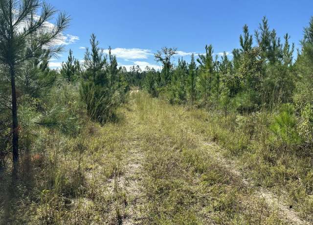 Property at Parcel A Millside Rd Unit <><, Laurel Hill, FL 32567