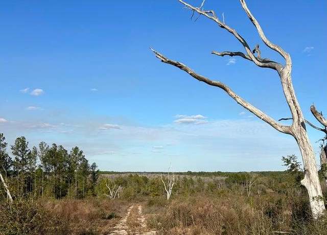 Property at 00 James Luther Rd, Ponce De Leon, FL 32455