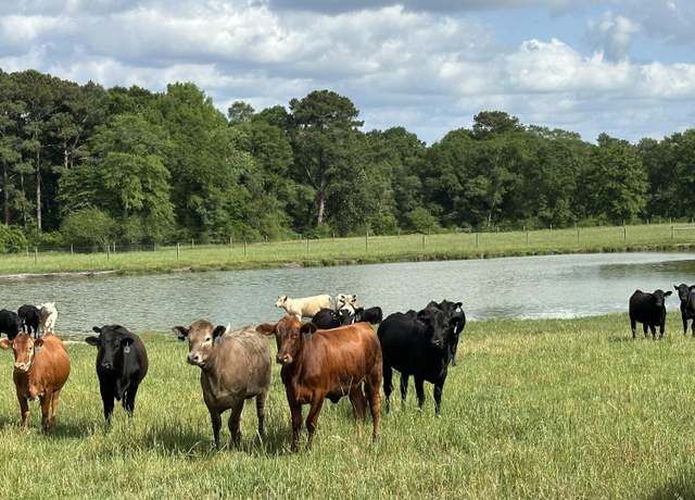 Property at 261.6 ac Millside Rd Unit +/-, Laurel Hill, FL 32567