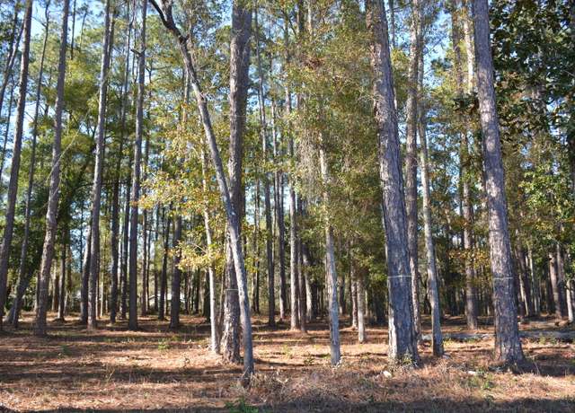 Property at TBD US-331 Business, Freeport, FL 32439
