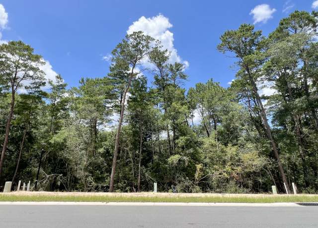 Property at 249 Foxglove Run, Niceville, FL 32578