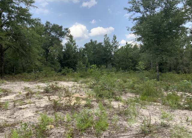 Property at 000 Matilda Ln, FL 32433