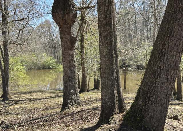 Property at Lot 12 Coon Bottom Ests, Ponce De Leon, FL 32455