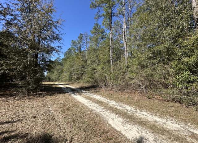 Property at Lot 13 Coon Bottom Ests, Ponce De Leon, FL 32455