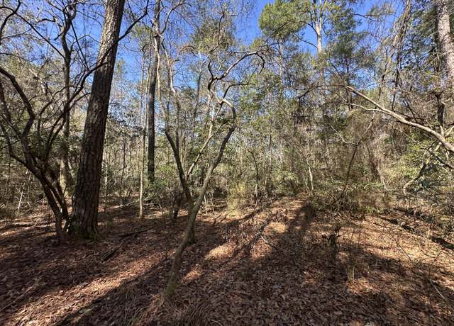 Property at Lot 15 Coon Bottom Ests, Ponce De Leon, FL 32455