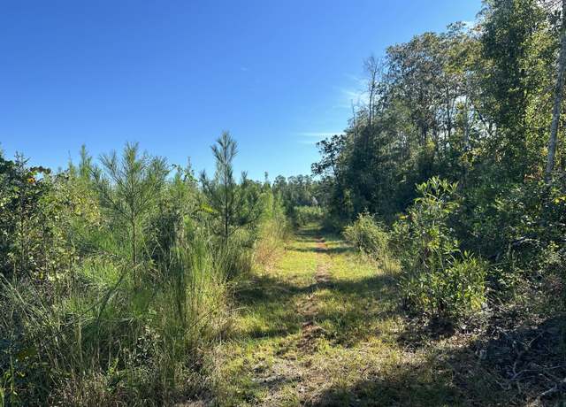 Property at Parcel L Buck Tyner Rd, Laurel Hill, FL 32567