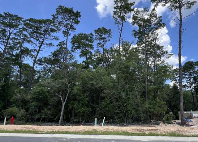Property at 239 Foxglove Run, Niceville, FL 32578