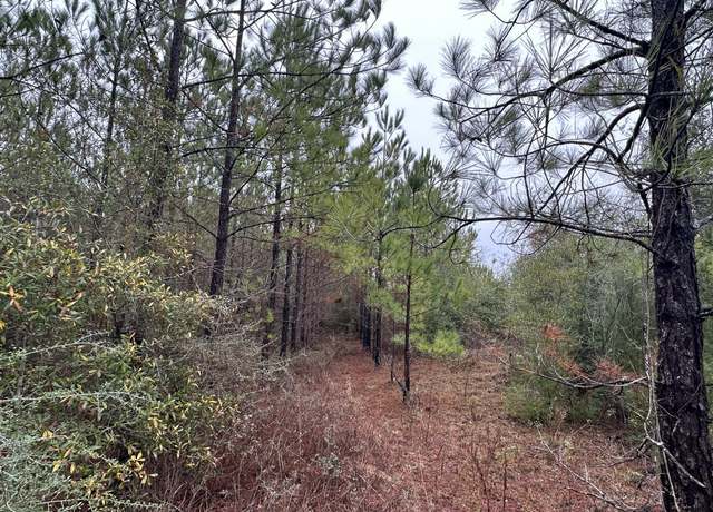 Property at Tract#6418 Mattox Springs Rd Unit North 2, Caryville, FL 32427