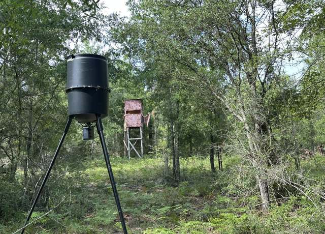 Property at 40 ac +/- Old River Rd, Baker, FL 32531