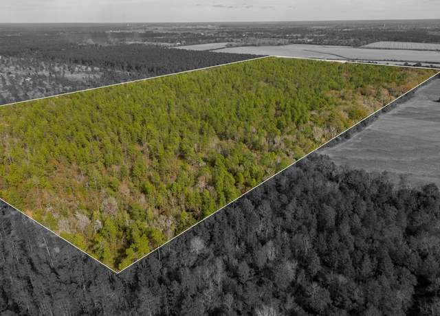 Property at 0000 N Bob Brooks Rd, Baker, FL 32531