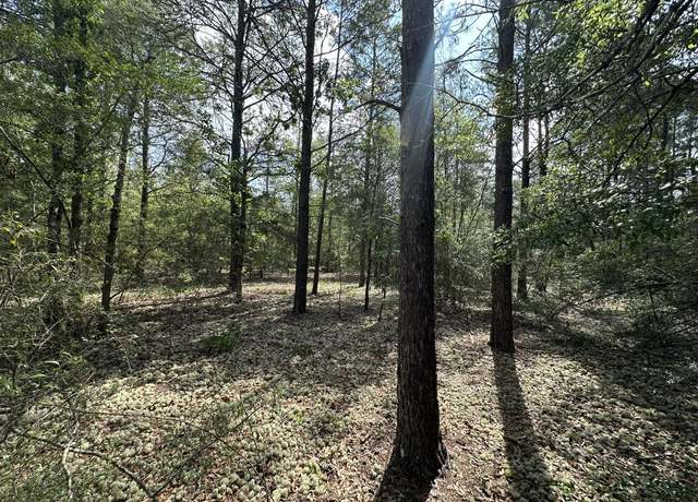 Property at 10 AC+/- Shot Gun Trl, Crestview, FL 32539