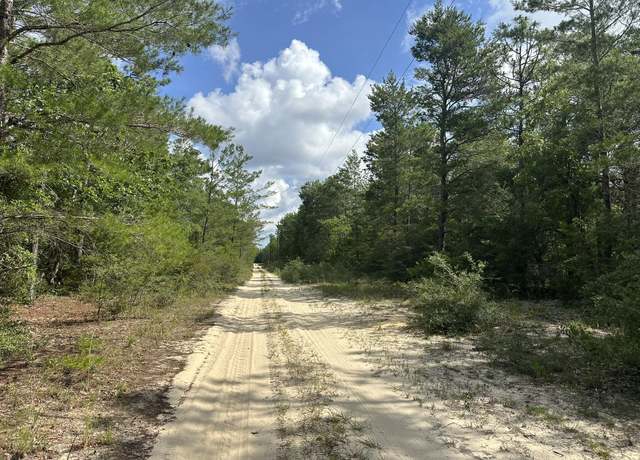 Property at 20 AC+/- Shot Gun Trl, Crestview, FL 32539
