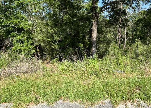 Property at 0 E White Rose St, FL 32433