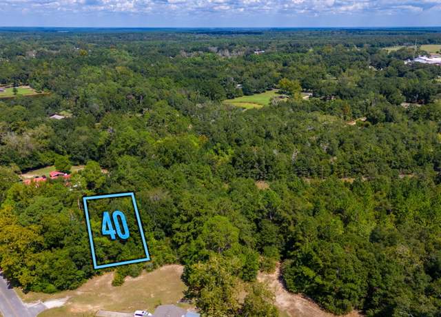 Property at LOT 40 Cannon Dr, Paxton, FL 32538