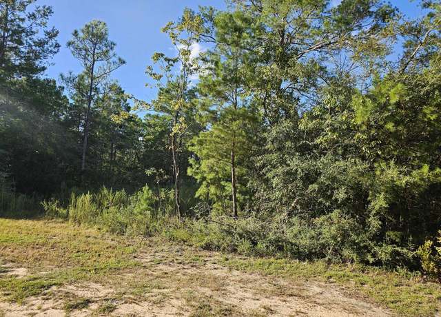 Property at Lot 2 W BLUEBOTTLE Ct, FL 32433