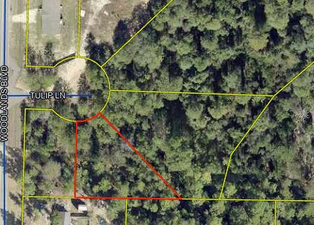 Property at Lot 5 Tulip Ln, FL 32433