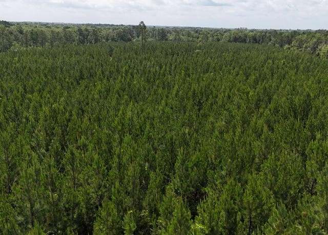 Property at 00 Douglas Ferry Rd, Chipley, FL 32428