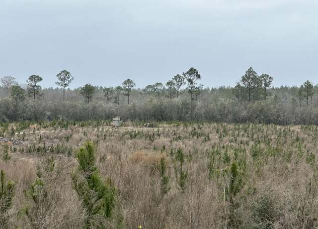 Property at Tract#6336 Sand Path Rd, Bonifay, FL 32425