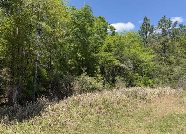 Property at TBD Picasso Ln, FL 32433