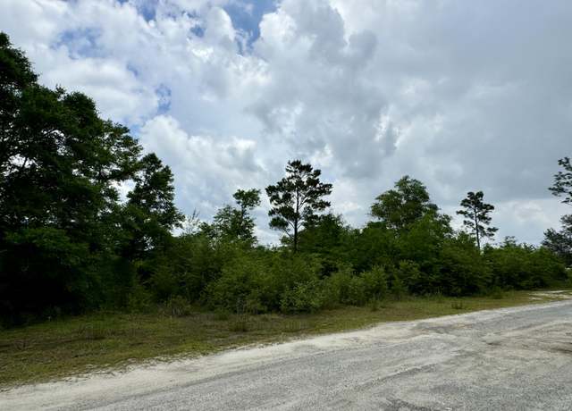 Property at Lot 12 Grassy Pond Rd, Chipley, FL 32428