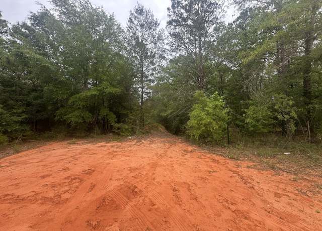 Property at Lot 20&21 E Orange Blossom Ave, FL 32433