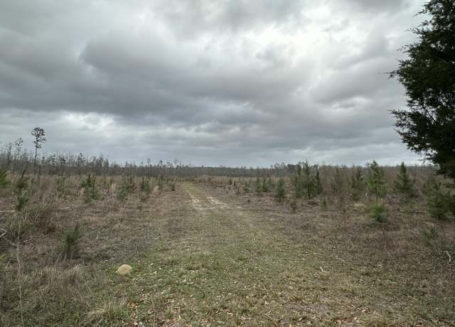 Property at 3934 Sand Path Rd Unit Tract6405, Bonifay, FL 32425