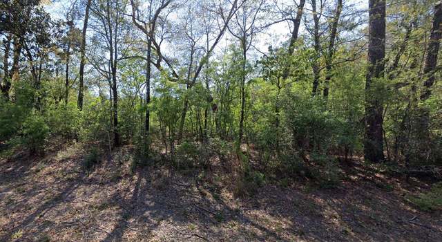 Photo of 0 Yellow River Log Lake Rd, Holt, FL 32564