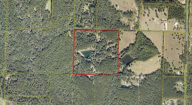 Photo of 555 Tall Oaks Rd, Defuniak Springs, FL 32435