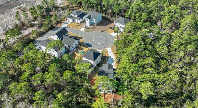 Photo of 248 Euvino Way, Santa Rosa Beach, FL 32459
