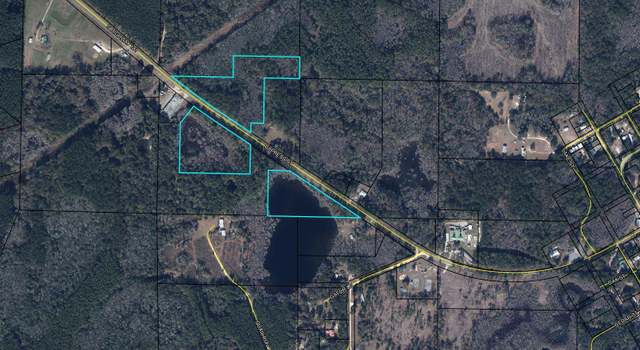 Photo of 21.6 Acres County Rd. 181, Westville, FL 32464