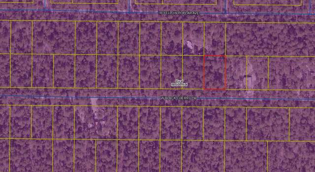 Photo of Lot 43 W Black Cherry Dr, FL 32433