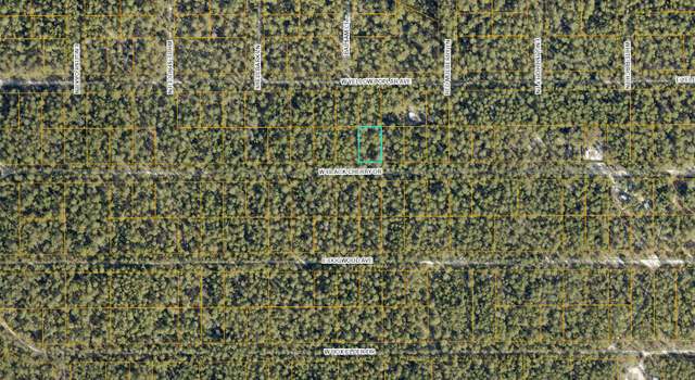 Photo of Lot 46 W Black Cherry Dr, FL 32433
