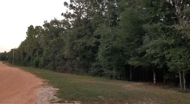 Photo of 4 Acres Redd Ln, FL 32433