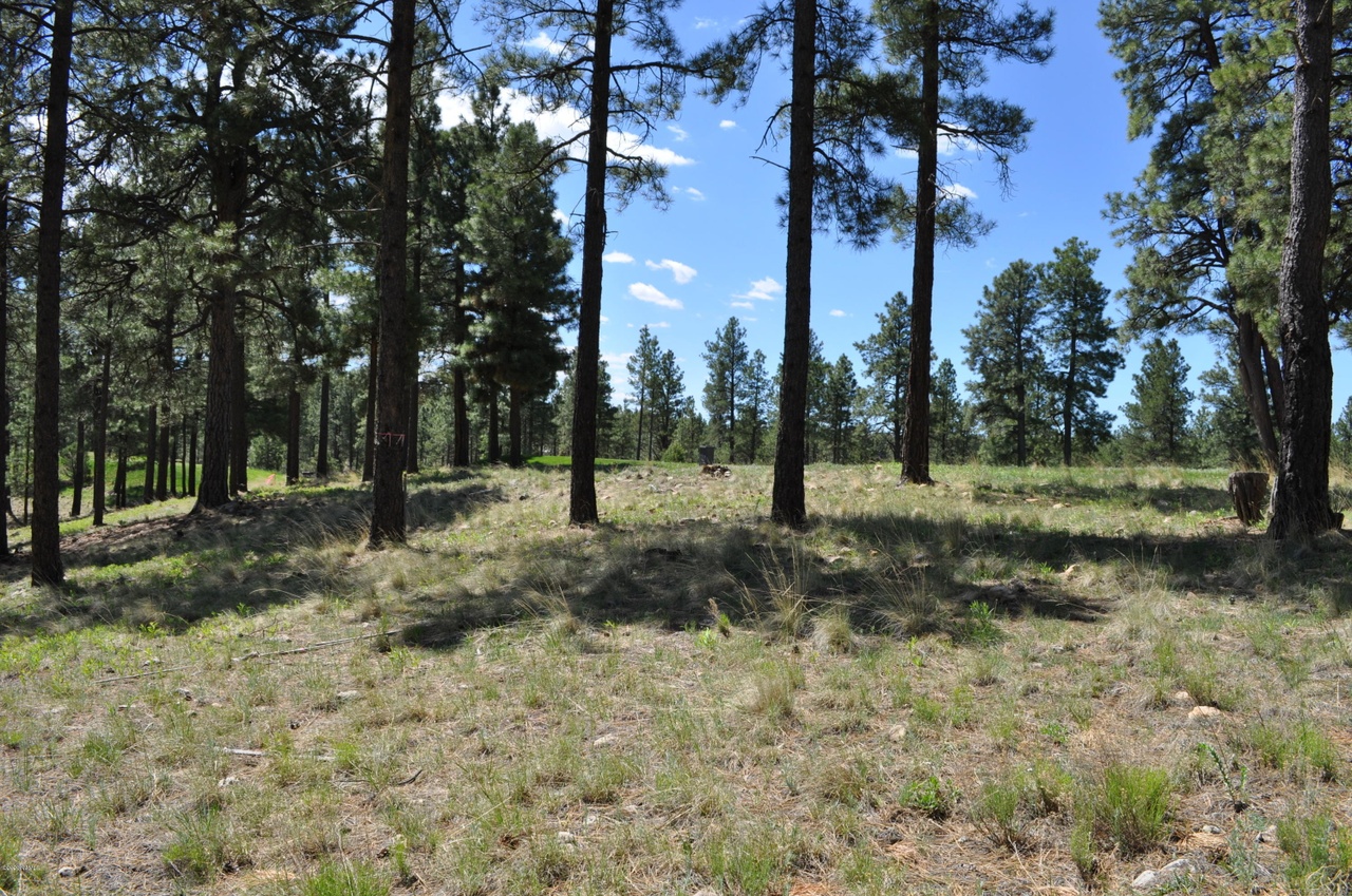 2733 E Byrds View Dr, Flagstaff, AZ 86005 | MLS# 182807 | Redfin