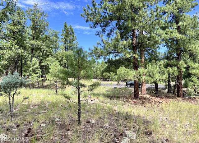 Property at 1601 Mule Deer Pl #120, Happy Jack, AZ 86024
