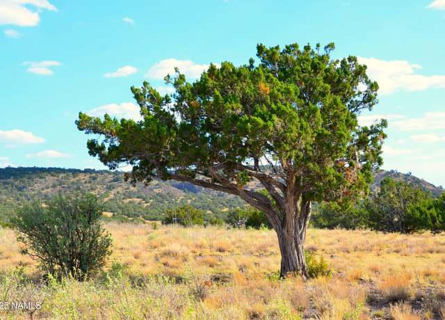 Property at 11154 Howard Mesa Loop, Williams, AZ 86046