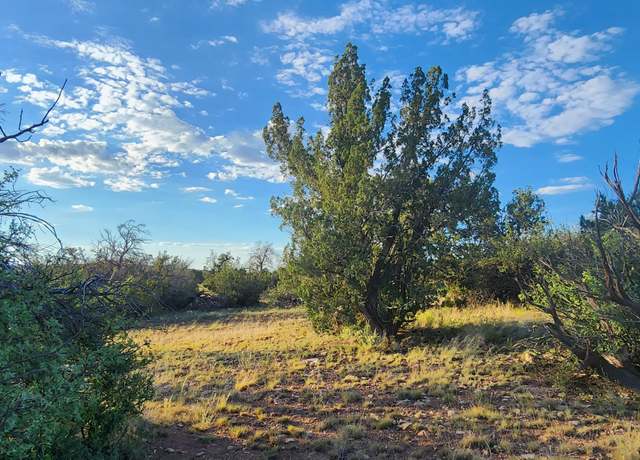 Property at 5893 Fire Sky Trl, Williams, AZ 86046