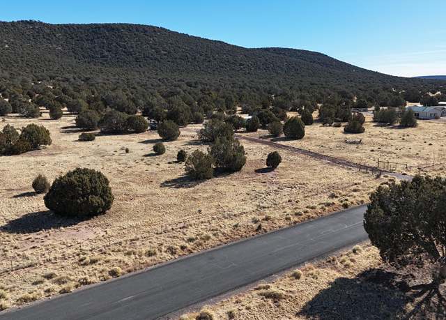 Property at 48955 N Anvil Rock Rd, Seligman, AZ 86337