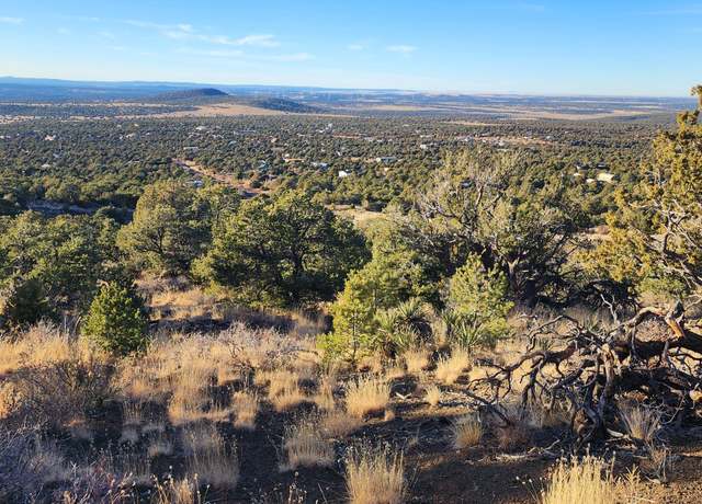 Property at Parcel # 20202016r, Williams, AZ 86046