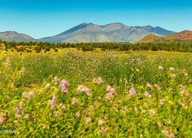 Property at 6638 Meadows Ln #2, Flagstaff, AZ 86004