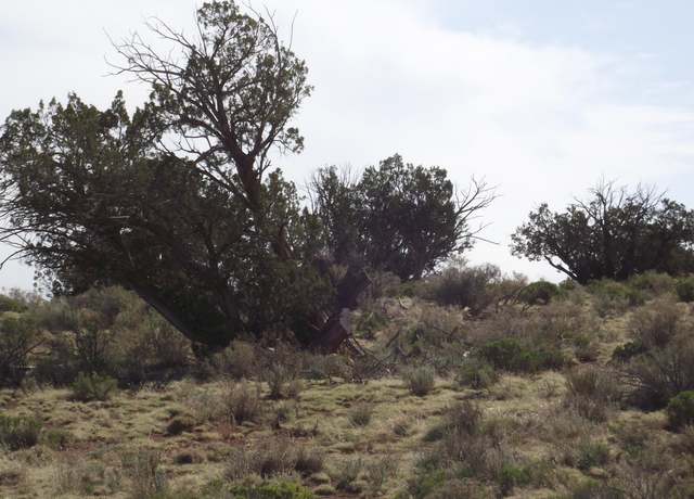 Property at 64 S Laguna Dr, Williams, AZ 86046
