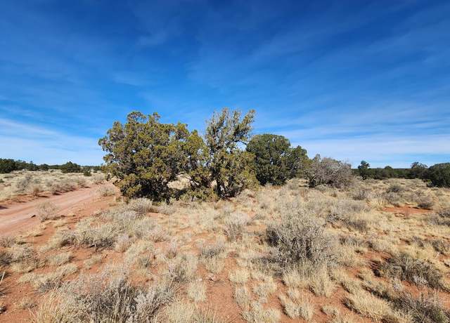 Property at 2091&2119 S Mountain View Rd, Williams, AZ 86046