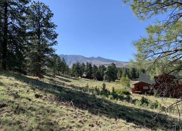 Property at 11668 N Rope Arabian Rd #2, Flagstaff, AZ 86004