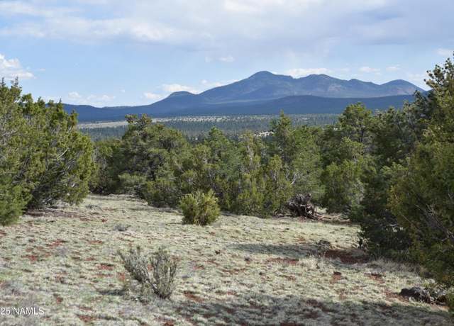 Property at 20202107c Honeysuckle Rd, Williams, AZ 86046