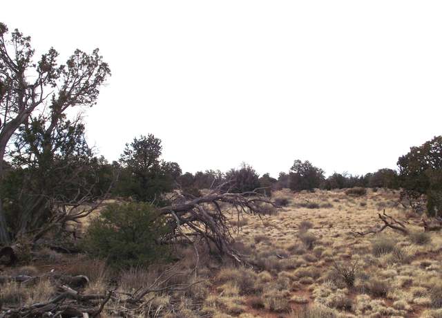 Property at 4516 Parker Dr, Williams, AZ 86046