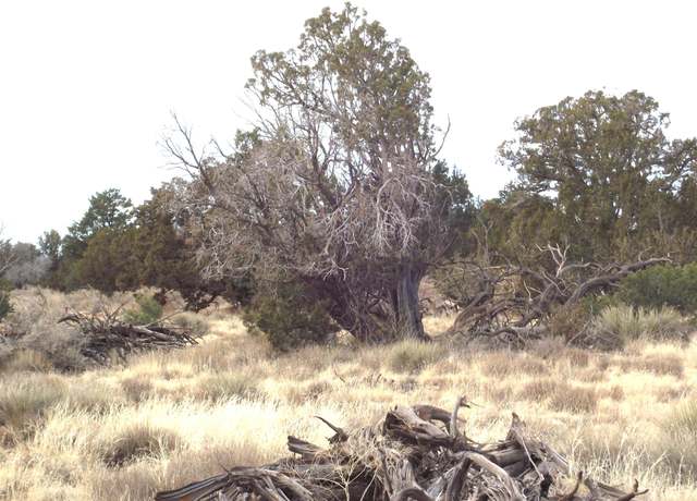 Property at 4546 Parker Dr, Williams, AZ 86046