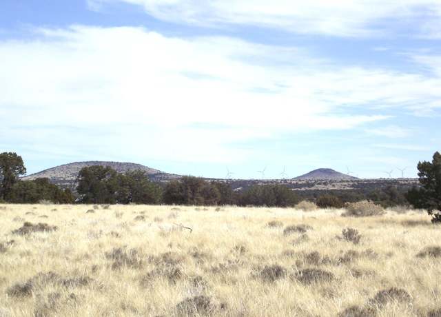 Property at 4796 E Palm Royal Ln, Williams, AZ 86046