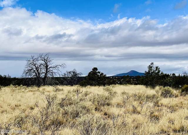 Property at 2307 E Woodland Ranch Rd, Williams, AZ 86046