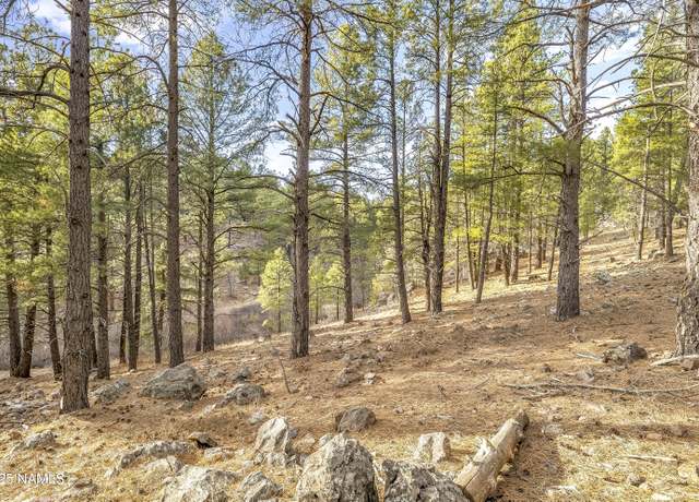 Property at 2602 Mesa Trl, Flagstaff, AZ 86005