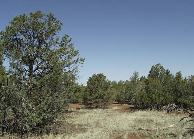 Property at 1443 E Antler Ln #550, Williams, AZ 86046